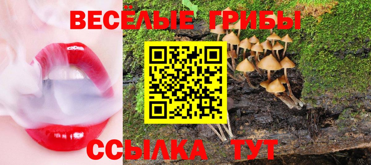 Озёры  Галлюциногенные грибы ЛСД  Вход с VPN  Галлюциногенные грибы Magic Shrooms 